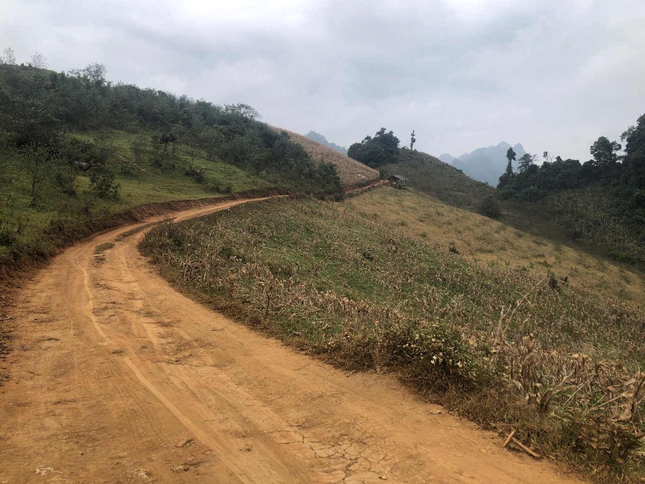 Moc Chau Trail Mountain Bike Tour 6 Days